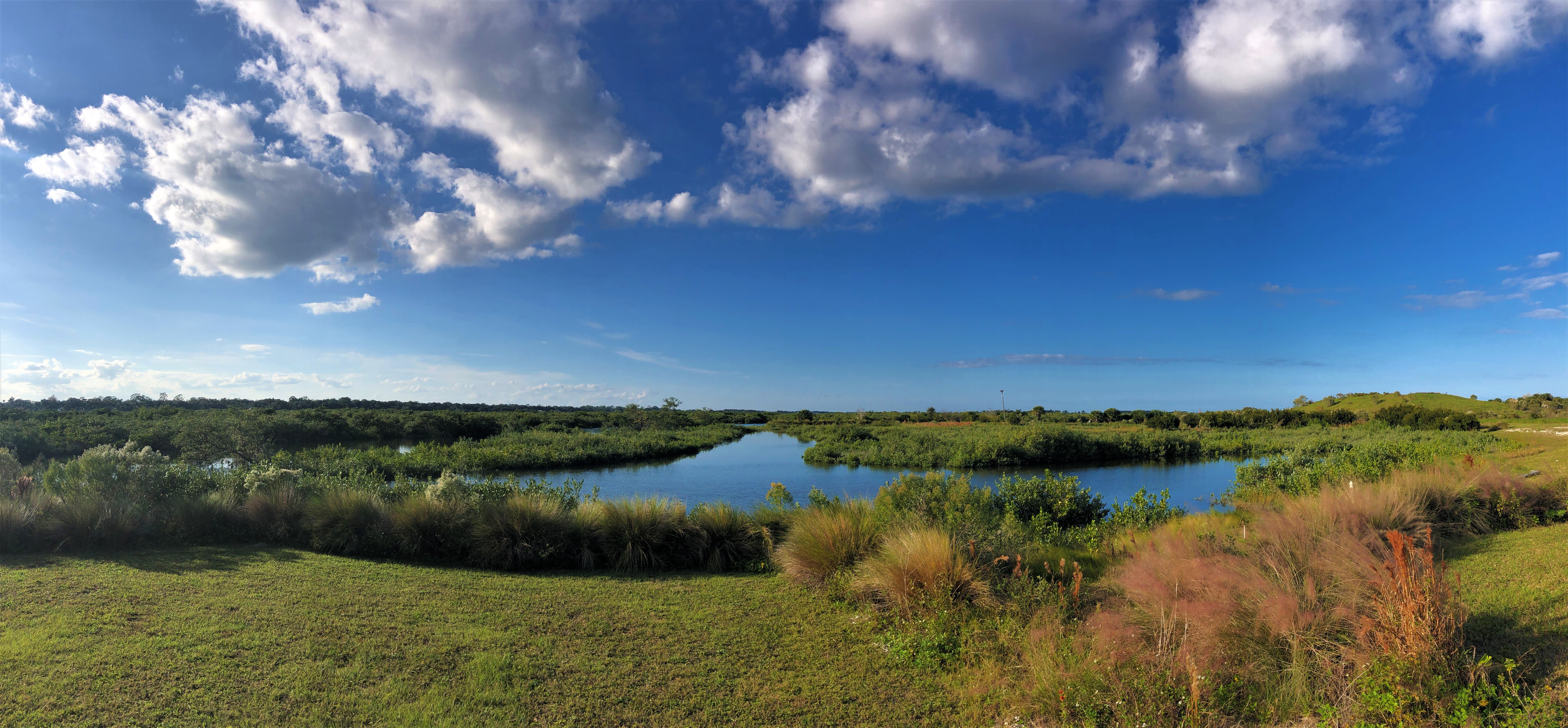 Plan Ahead for Summer Camps in the New Smyrna Beach Area