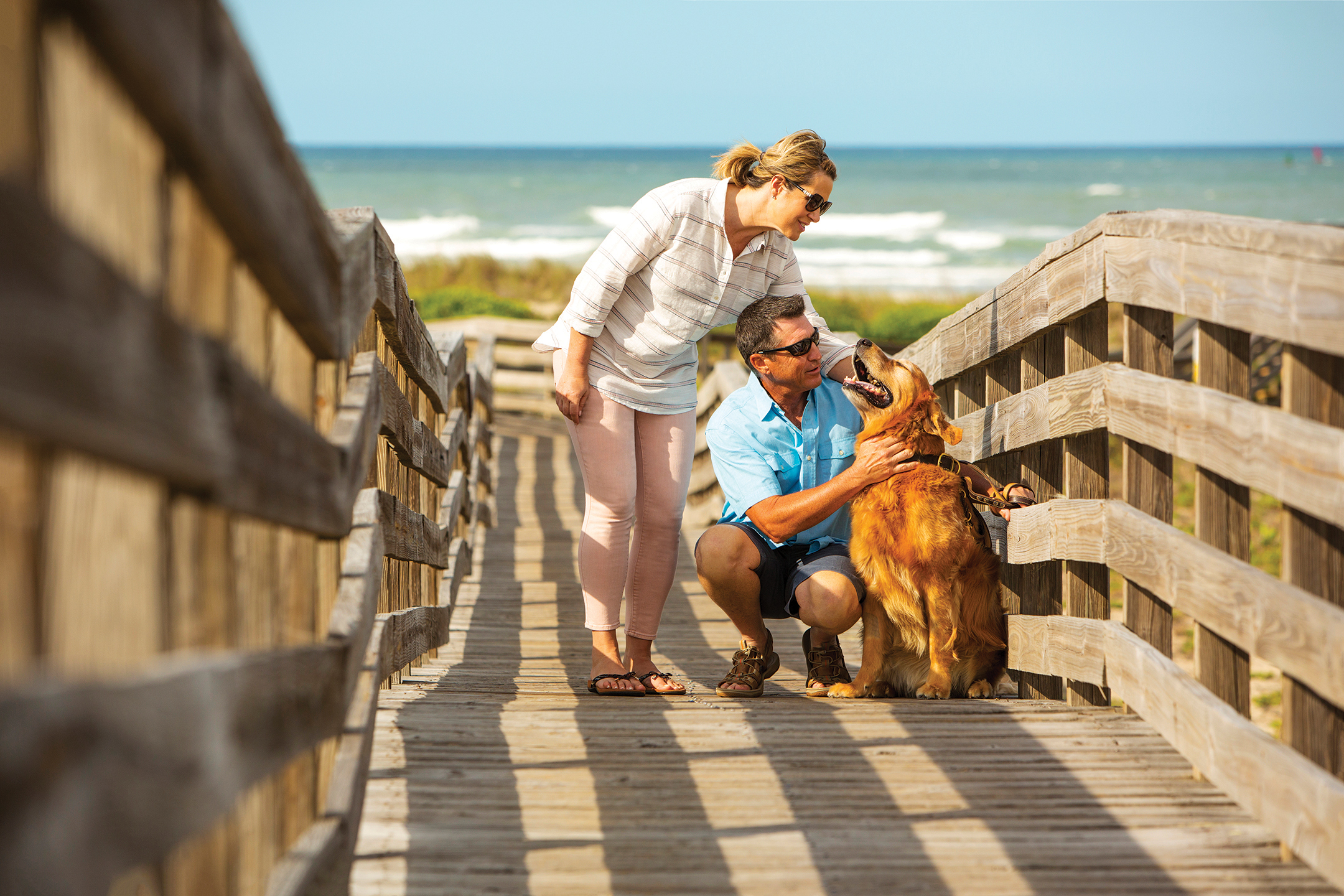 Unleash the Fun in New Smyrna Beach, a Pet-Friendly Paradise!