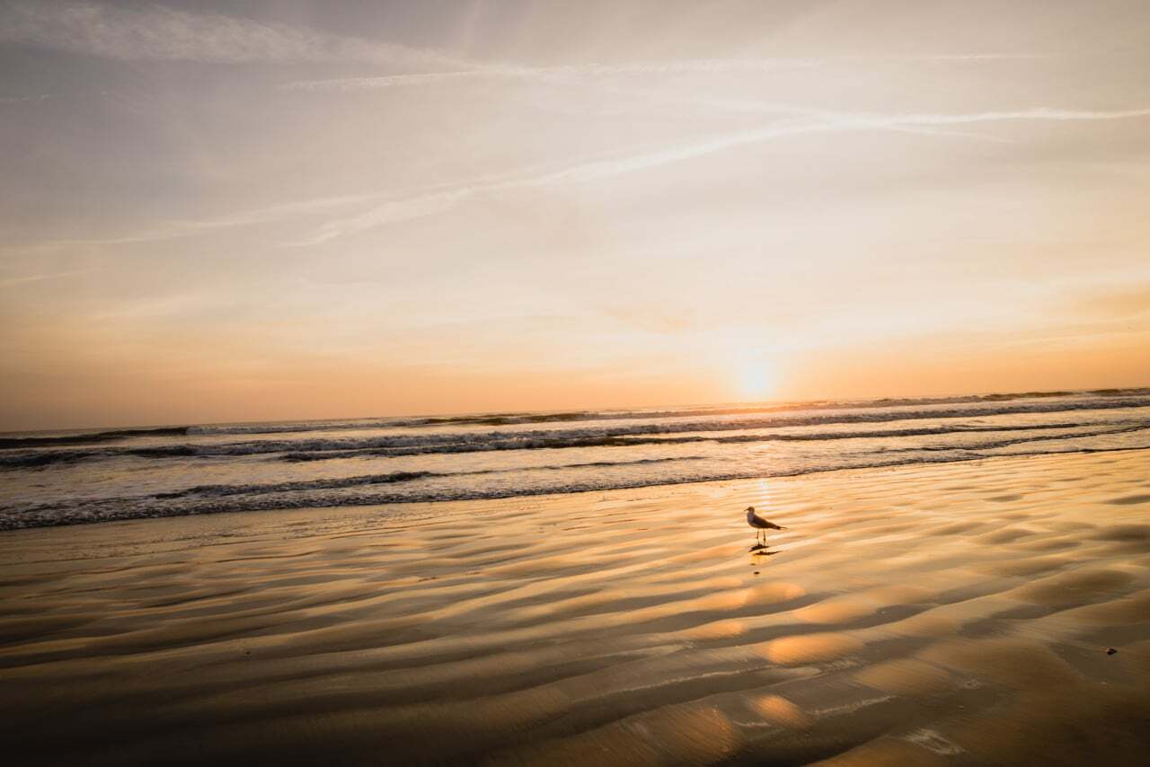Celebrate America’s 250th Anniversary in New Smyrna Beach This Fourth of July Weekend