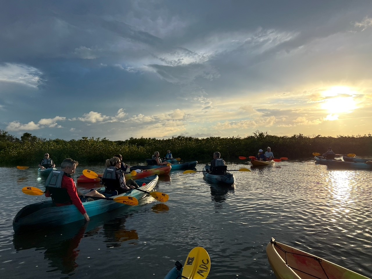 Explore at Your Own Pace: Outdoor Experiences Across the New Smyrna Beach Area
